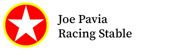 Pavia Racing Stable