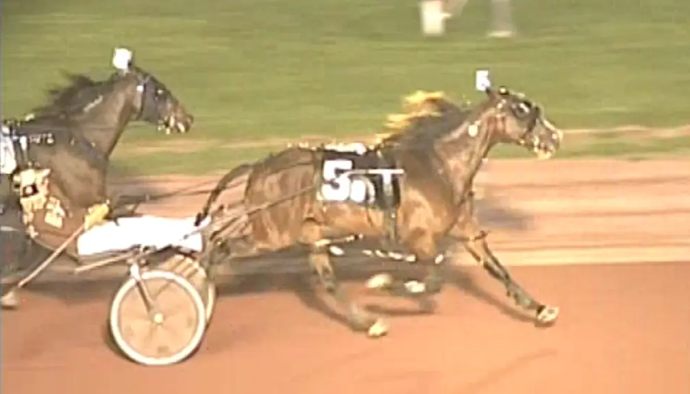 Arodasi a 1/9 Winner in Conditioned Mare Event at Pocono Downs