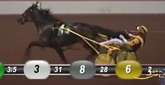 Muscle Massacre Wins Wire to Wire in 1:54.4 at Pocono