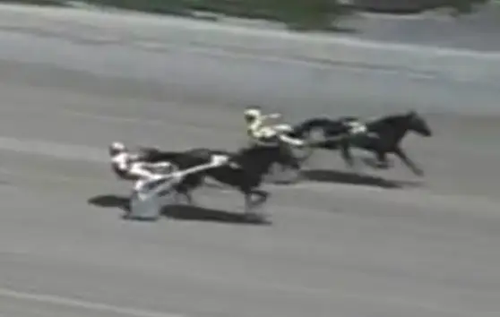 Steelhead Hanover "Monstrous Victory... 149.1""